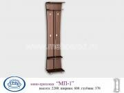 "��-1", �������� ����