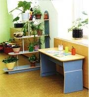 "�����", ������� � ���� �������������