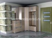 "�����-6", ��������