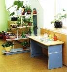 "�����", ������� � ���� �������������