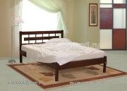 "�����������-1", �������