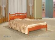 "�����-1", �������