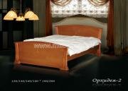 "�������-2", �������