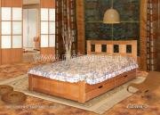 "�����-2", �������