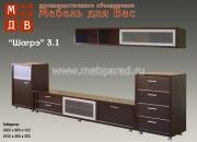 "�����", ������ 3.1