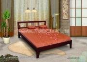 "�����-2", �������