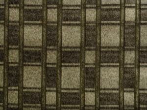 ����� ���� 501