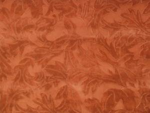 �������� 19 (�������)