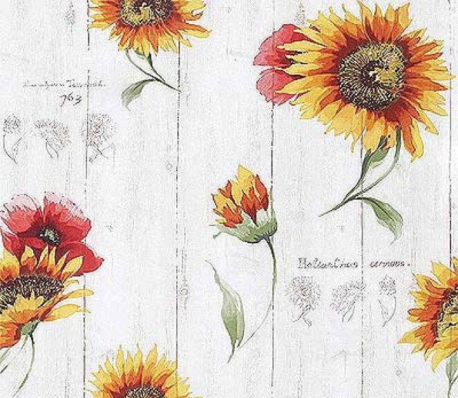 ������� �04