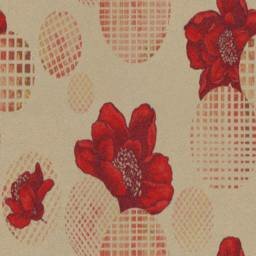 ������� ����