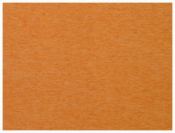 ������ �����