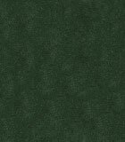 Oregon ���� ����������