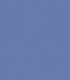 Royal ���� ����������