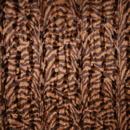 Zoo new Zebra Red Wood FL