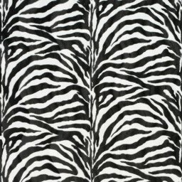 Zoo Zebra