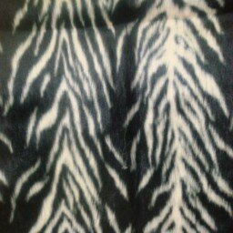 Zebrano Black- White